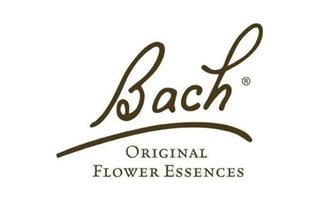 Bach